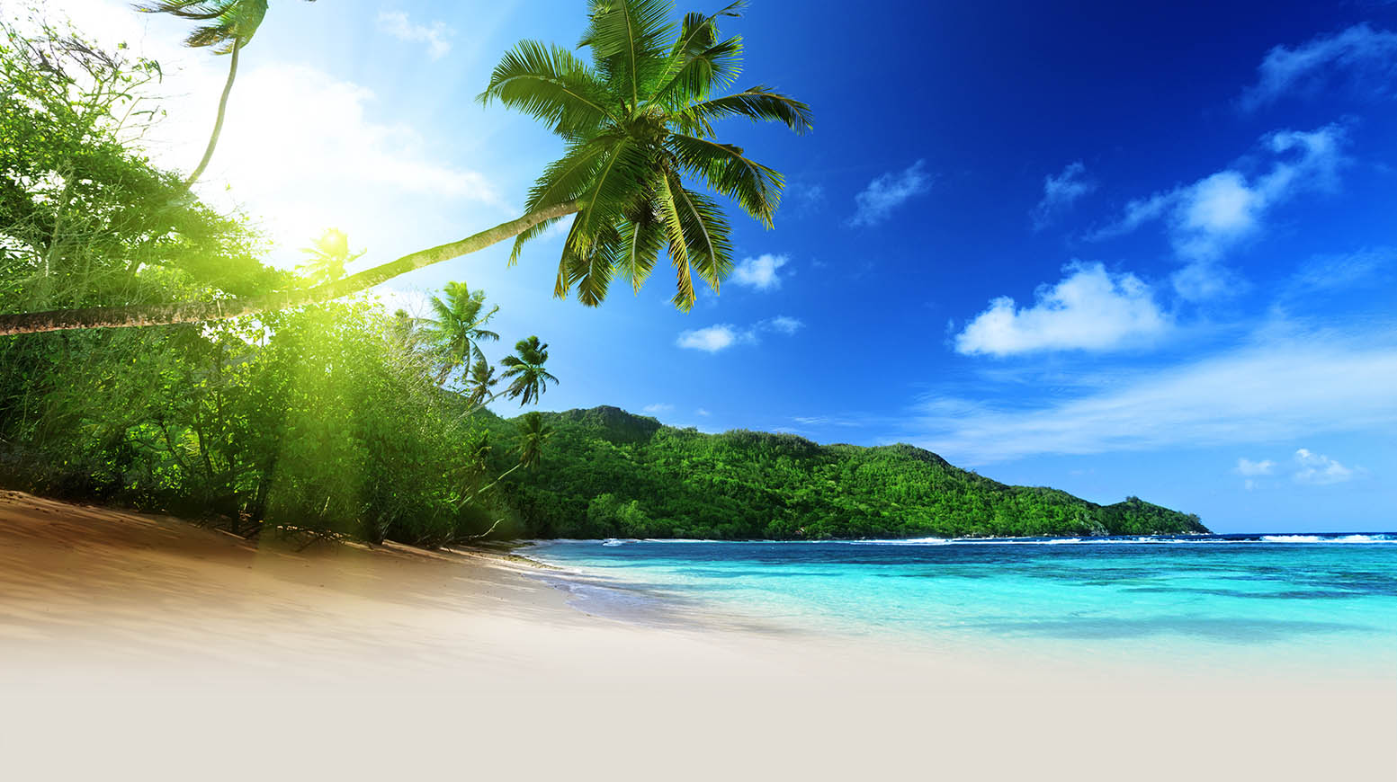 lorem ipsum dolor sit